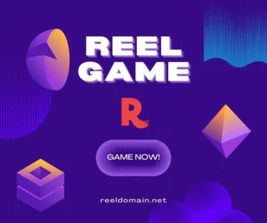 Sea Story Memories of the 2000s and the Future of 2025